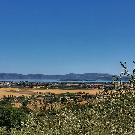 Fonte Pace Luxury - A Fontanaro Paciano